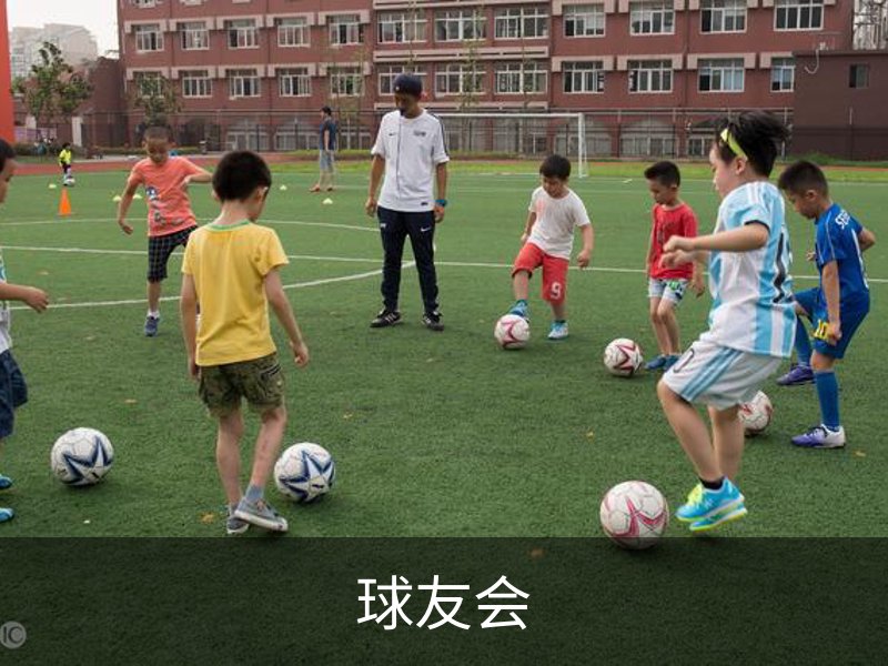 球友会简介